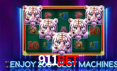 Sistemas de Segurança 911bet